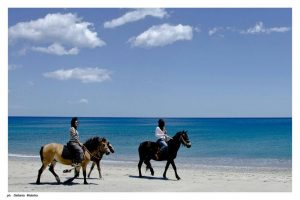 Rent house and ride with our horses on the beach